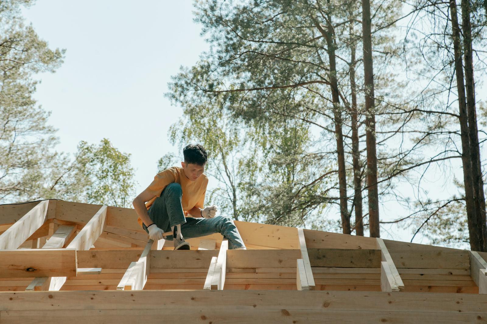 Isolation et Velux